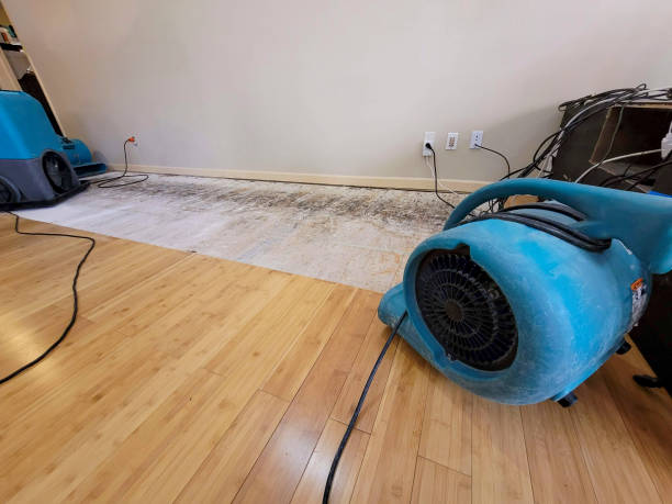 Professional Structural Drying technician working in Harper, WV